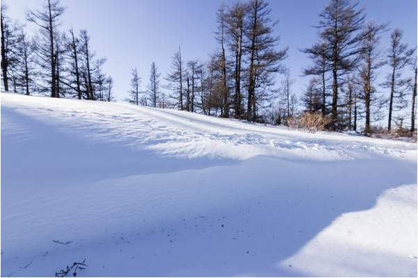 梦见白茫茫一片的雪是什么征兆（梦见满地是雪但没下雪）