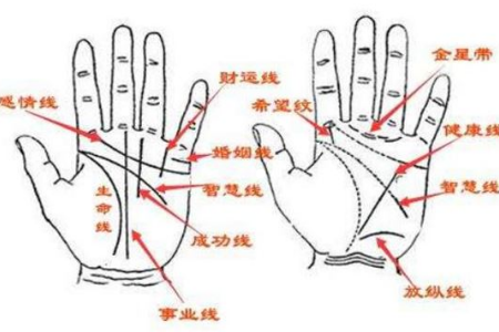 星字纹手相图解（手相星纹是什么样的）