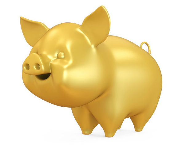 哪一年出生的属猪的最能挣钱（属马是哪一年）