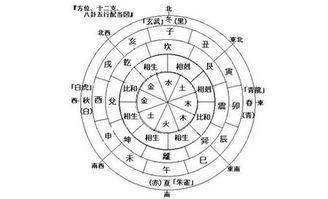 怎样看懂生辰八字（生辰八字五行查询）