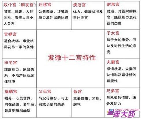 紫微十二宫之交友（紫微斗数十二宫代表什么）