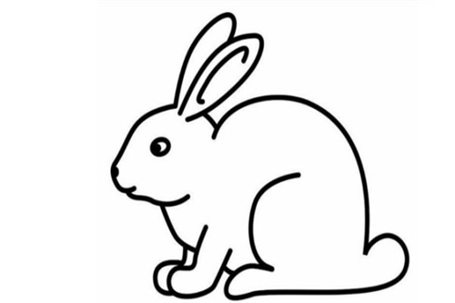 兔子和兔子属相（老鼠和兔子属相合不合）