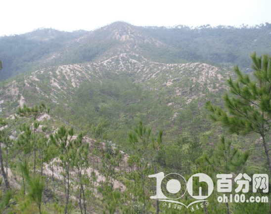 墓地风水图解实例大全（墓地风水讲解）