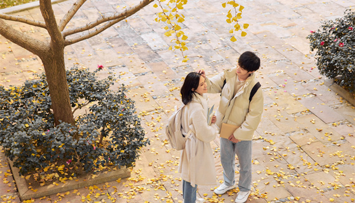 摩羯座的100种缺点,摩羯座究竟是一种什么人