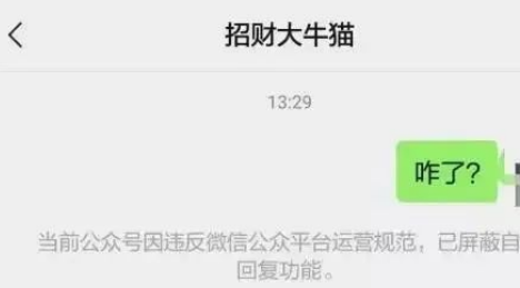 招财大牛猫消费粉丝,招财大牛猫写的书