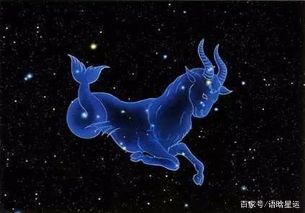 隐形中的大佬星座,哪个星座大佬最多