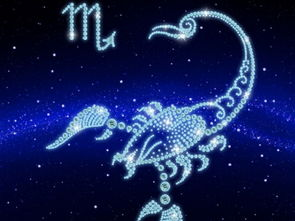 天蝎座男生和处女座女生相爱,天蝎男最稀罕的星座女
