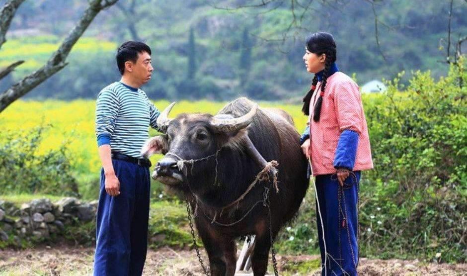 男人为什么属鸡不好,为啥不能找属鸡的男人