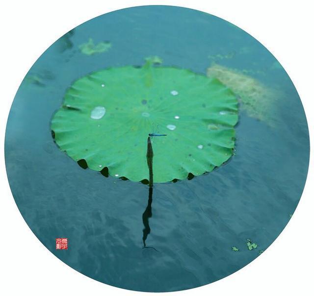 生肖取名宜忌,属鸡取名宜忌用字大全