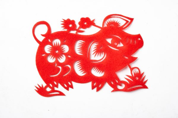 十二生肖今日运势每日运,鼠年生肖运势