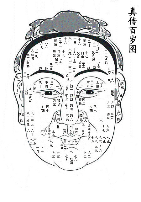 面相整体分析,面相学分析图