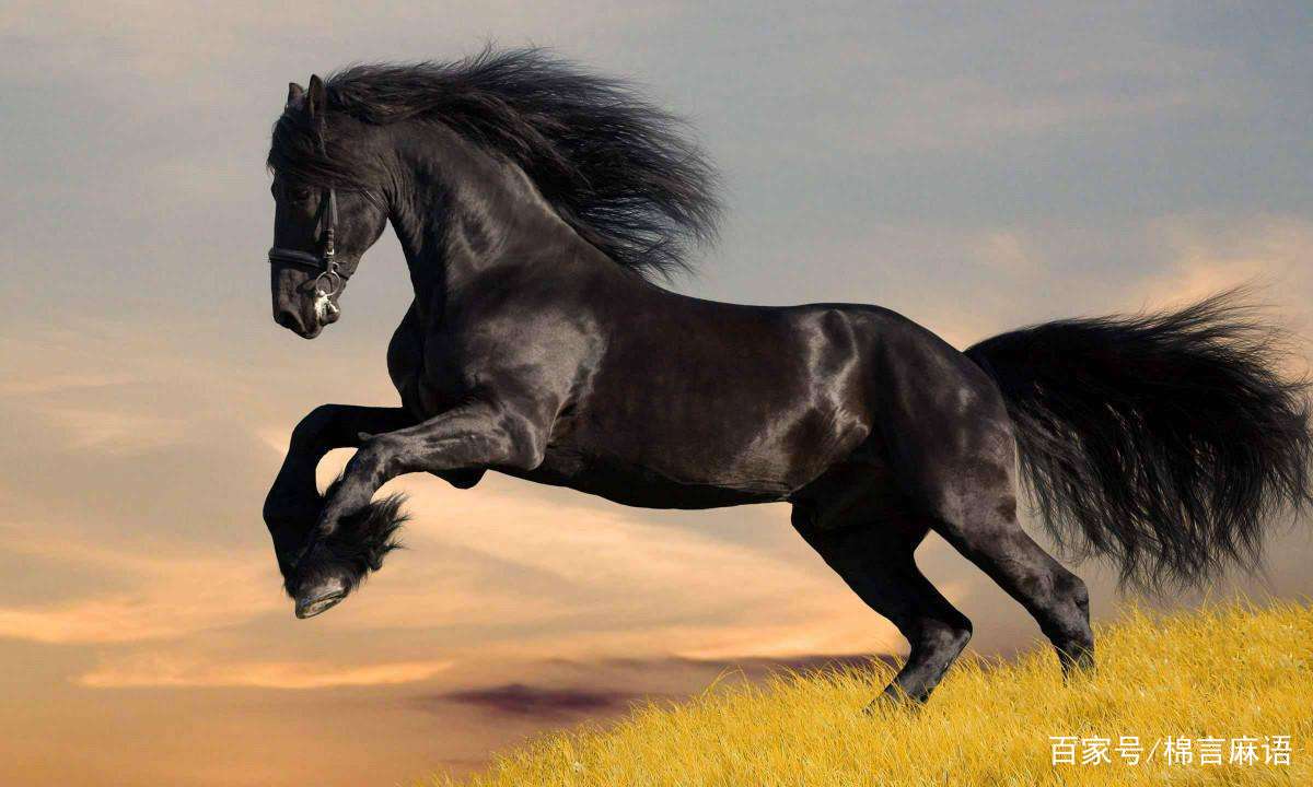 马最不配的属相是什么,属马和属什么的最不合适