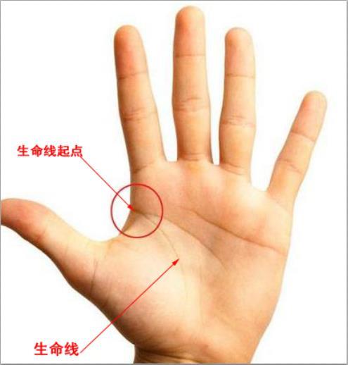 手相三条主线,手相中的三条线分别是哪三条