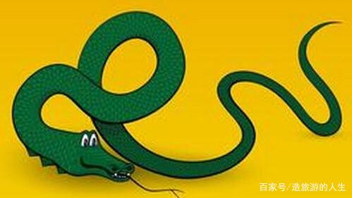 属蛇的超能力是什么,什么能压制住属蛇的人