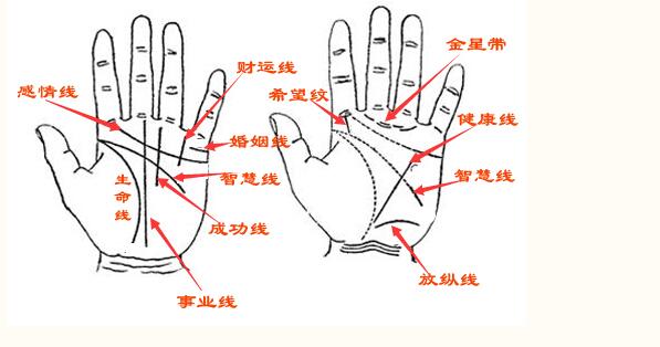 婚姻线末端有米子纹,最罕见的手相神秘十字纹