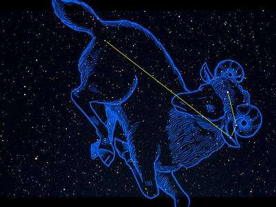 摩羯座的各种第一名,五大最恐怖的星座是哪几个