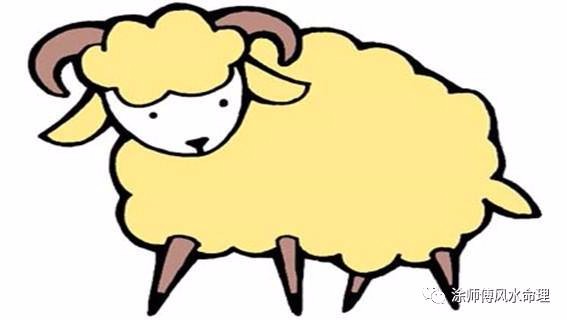 属羊人的五个风水禁忌,属羊的人养什么花旺财