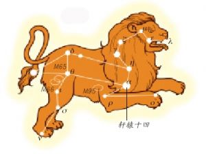 狮子座最亮的星,狮子座的代表亮星