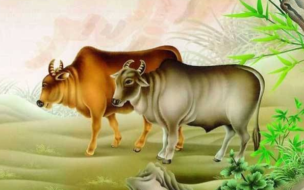2023年出生属牛的什么命,2023年生肖牛是什么命