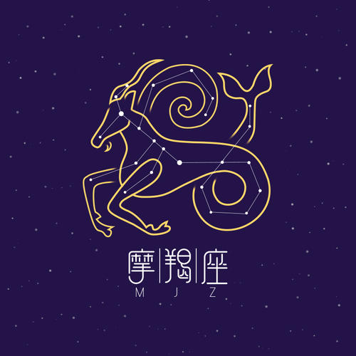 摩羯座对待爱情,2023年摩羯座将有大事发生