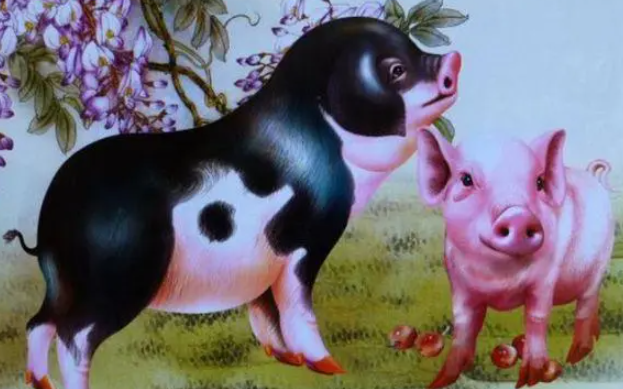 1935年属猪2023年健康,95年属猪的姻缘在哪年