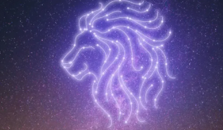 狮子座很有钱吗,狮子座长大有钱吗
