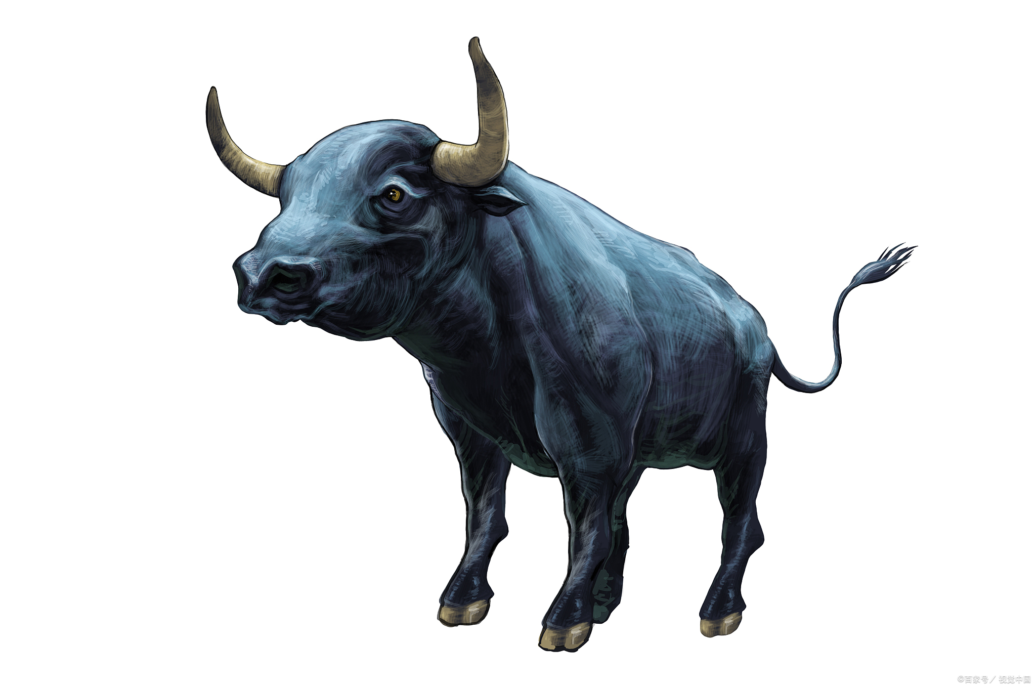 金牛座属狗2023感情,金牛座近期桃花运