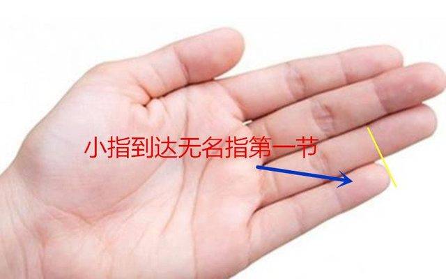 手相小拇指短代表什么,手相图解小拇指过短