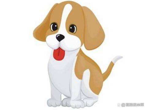 2023年属狗年龄表,2023属狗