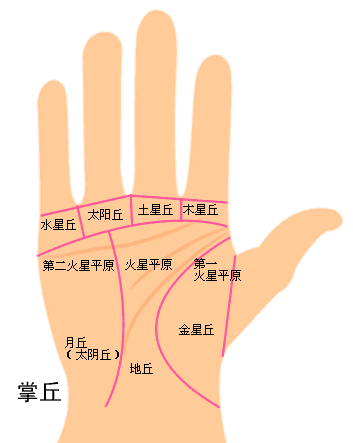 算命五个手指代表的意思,手相五指各代表什么