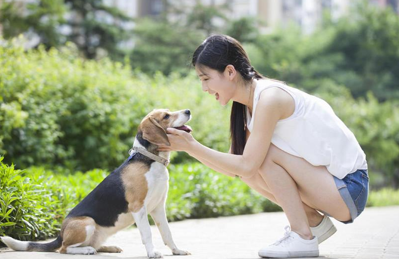什么面相的女人心机深,注定有钱的女人面相