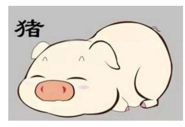 属猪人2023年每月运势运程,属猪人19年12月运势