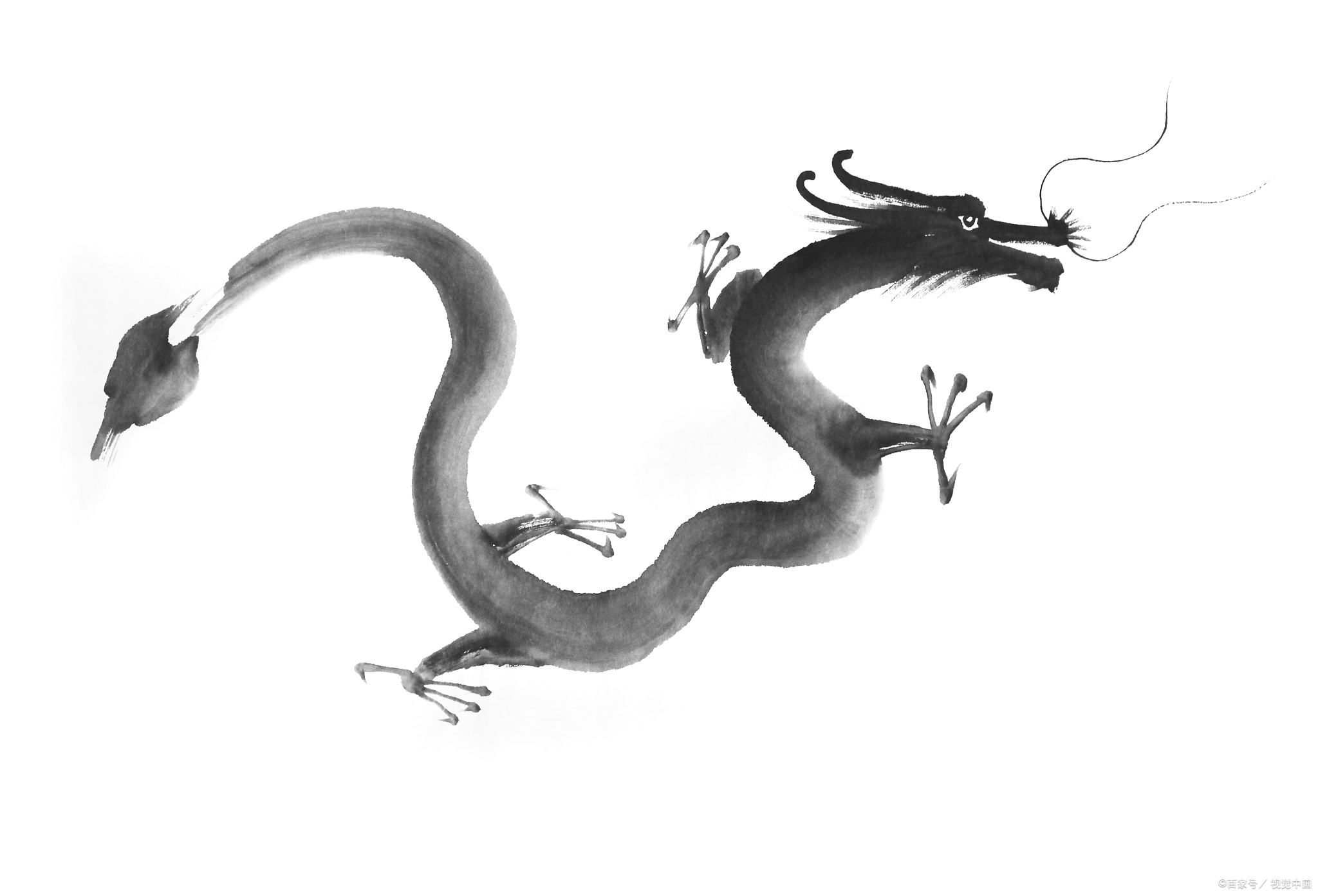 生肖兔明天运程,明年属兔的财运和运气