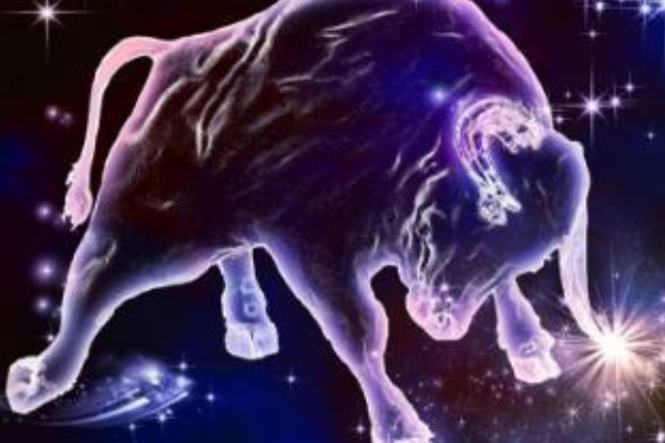 星座分析查询表,星座查询详情