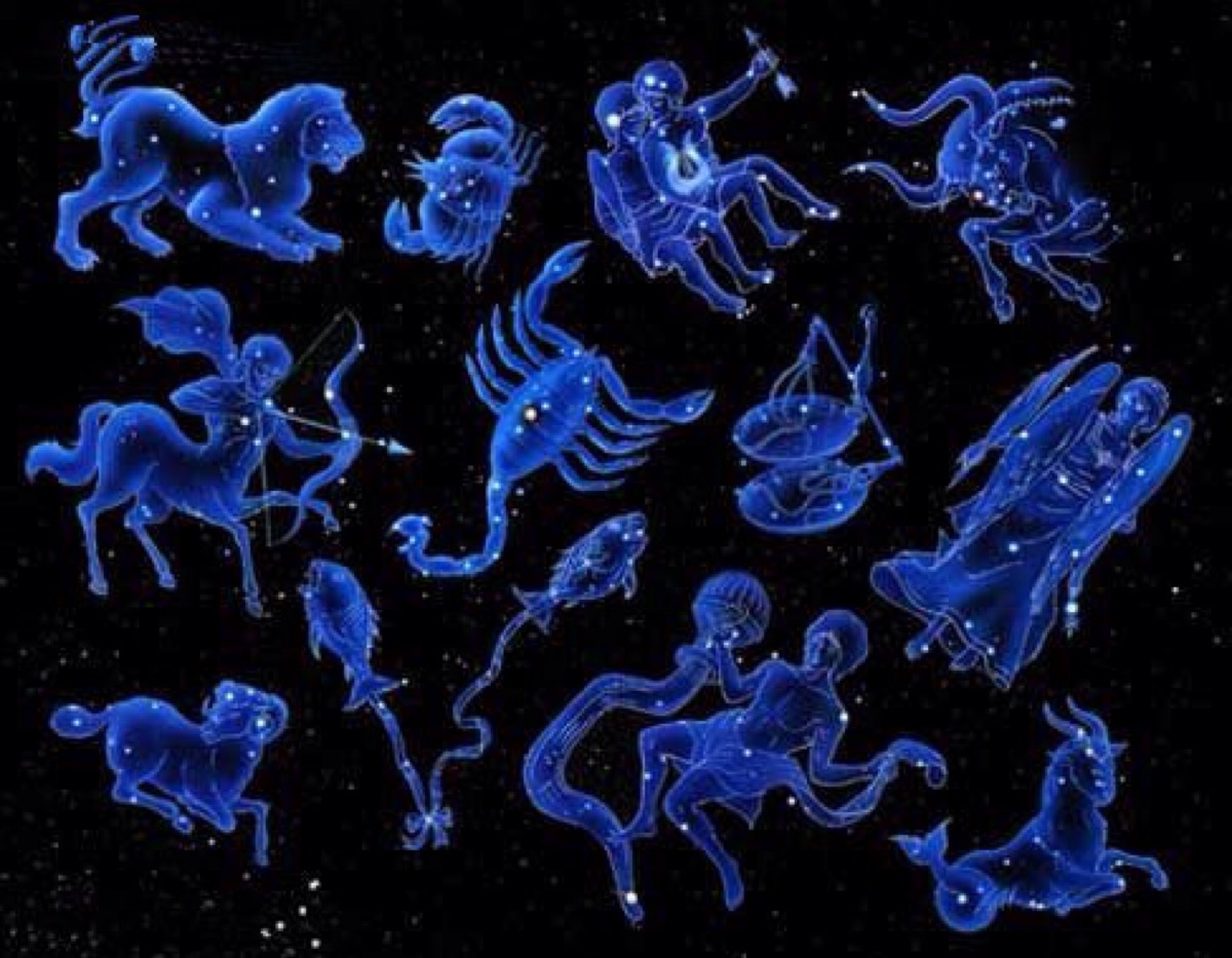 天蝎座适合养什么宠物,12星座超准颜值打分