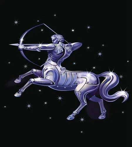 2023年12月30日射手座运势,12星座哪个性欲最强