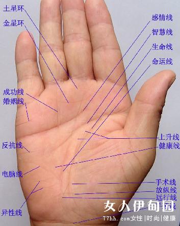 看手相手纹解释图,手纹线图解大全手相