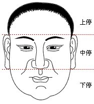 面相学眉毛算命图解,看眉毛算命图解