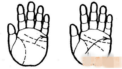 手相图解感情线下方两条线是什么,手相有两条感情线