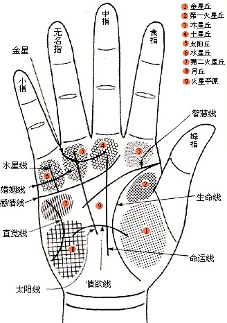 西洋手相学研究,出国手相特点图