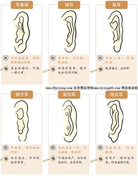 面相耳朵大小,耳朵和眼睛一样高面相