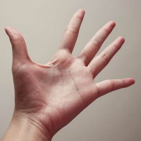 手相智慧线是什么意思,手相感情线图解