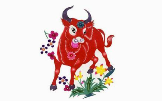 1961年属牛人吉祥色是哪个颜色,属牛人的终身吉祥色