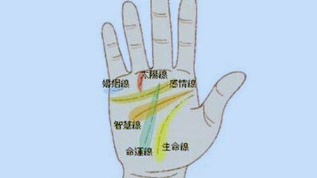 看手相算命图解男性左手,最全掌纹手相解析
