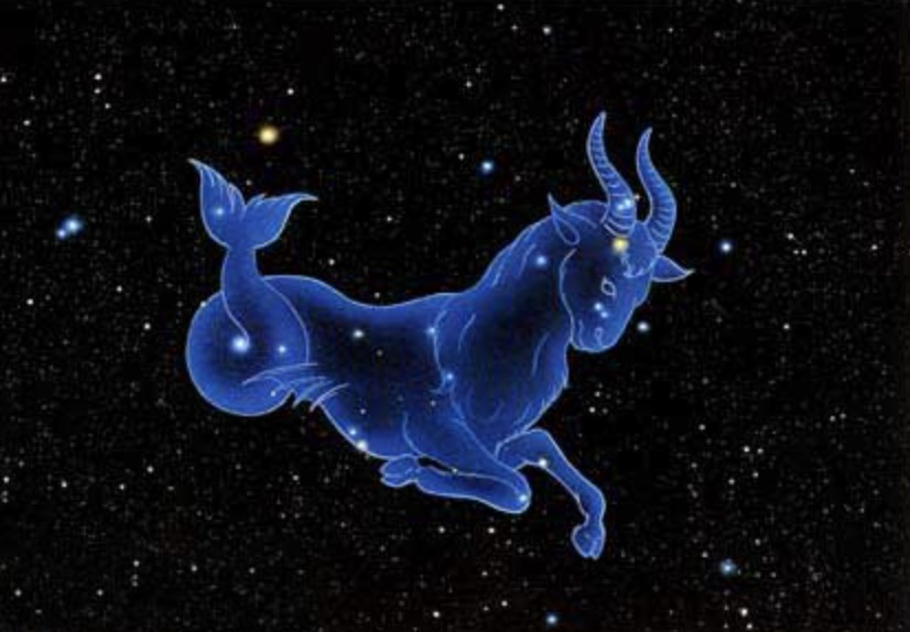 12月24日是什么星座摩羯座,摩羯是几月份的星座