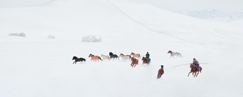 属马桃花运方向,桃花运在什么方位