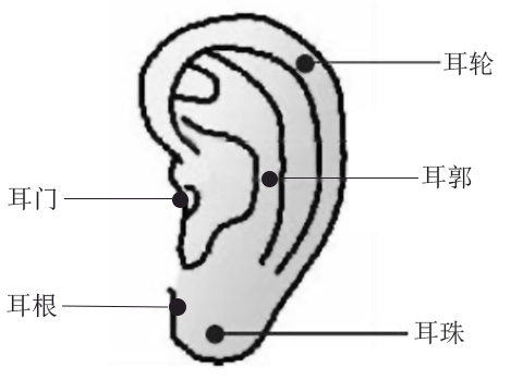 耳朵里长痣代表什么意思面相学,秤骨法测算命女