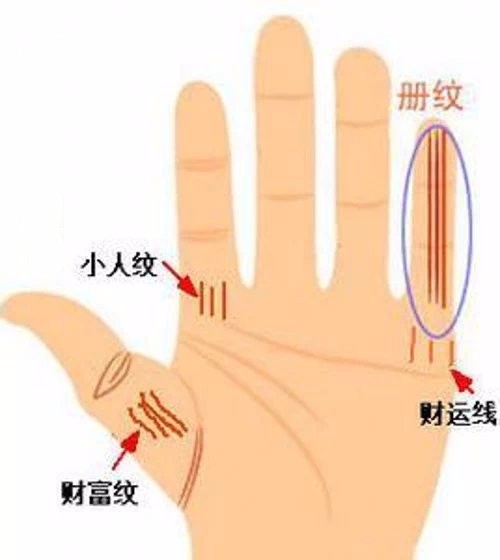 财运线在什么位置最好,财运线是哪一条线