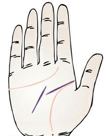智慧线从中间一分为二的手相图解,手相智慧线有两条