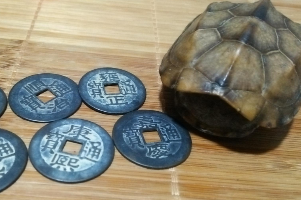 龟壳为什么可以占卜,占卜用多大的龟